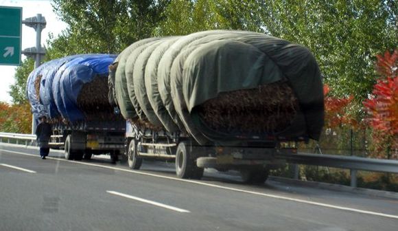 overloaded trucks.jpg