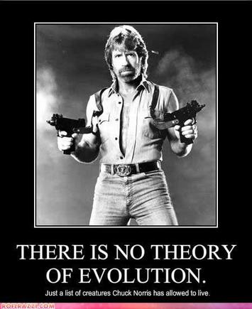 chuck-norris-there-is.jpg