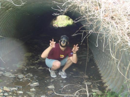 Bear2.jpg