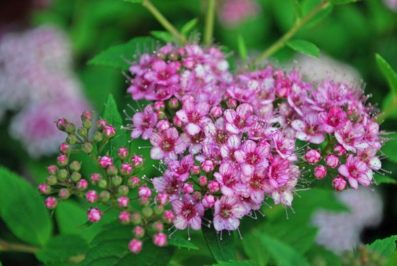 DSC_0007_edited-1.JPG