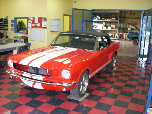 stang2.jpg