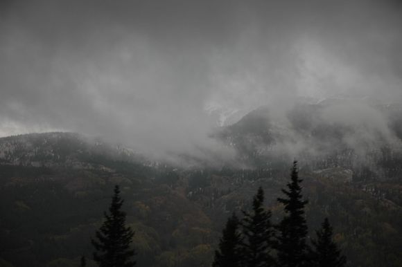 DSC_0491.JPG