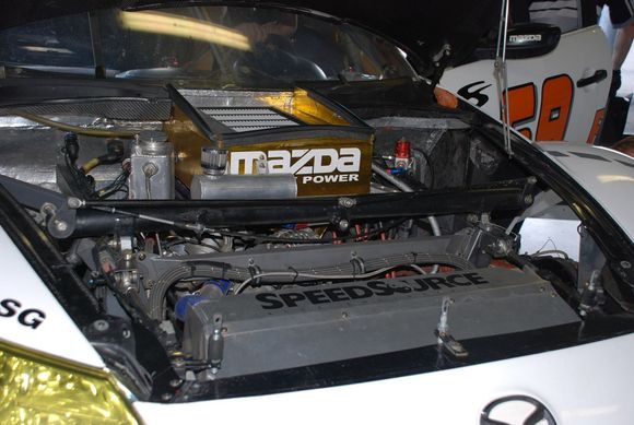DSC_0565.JPG