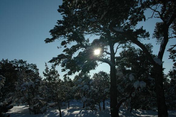 DSC_8243.JPG