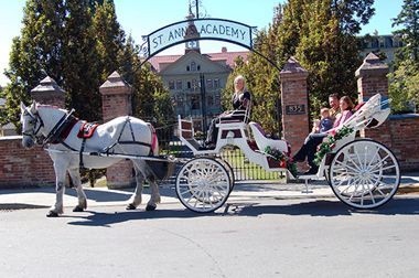 Horsedrawn carriage 3.jpg