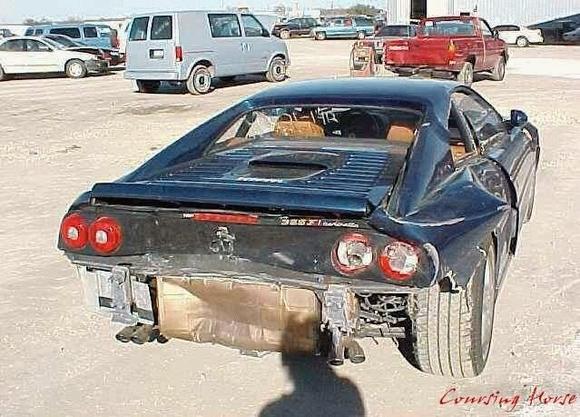 f11.jpg