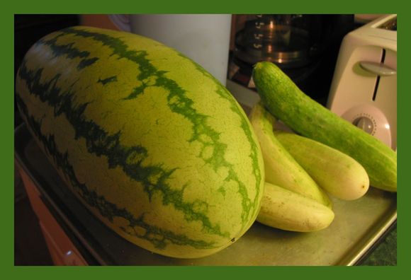 watermelon.jpg