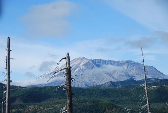 DSC_0056.jpg