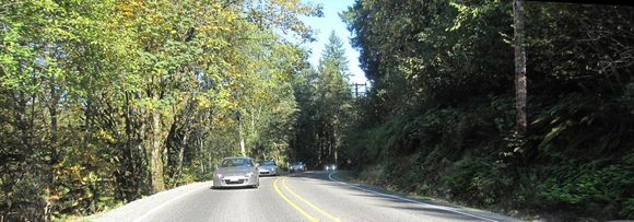 IMG_3468A.jpg