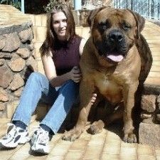 dog-for-sale2.jpg