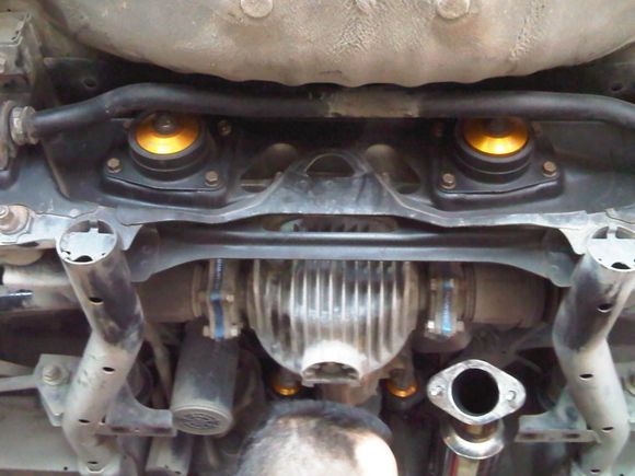 Exedium Racing Collars Installed