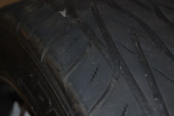 DSC_0339.JPG