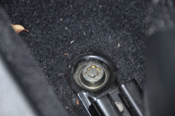 DSC_7259.JPG