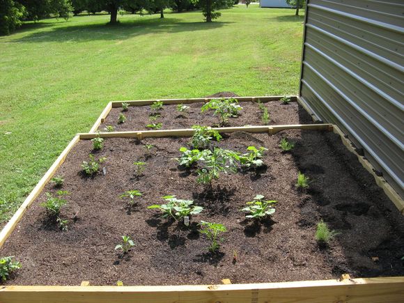 IMG 2277