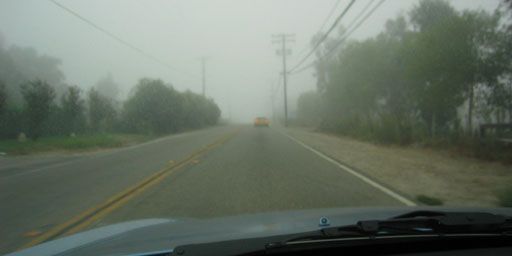 1fog.jpg