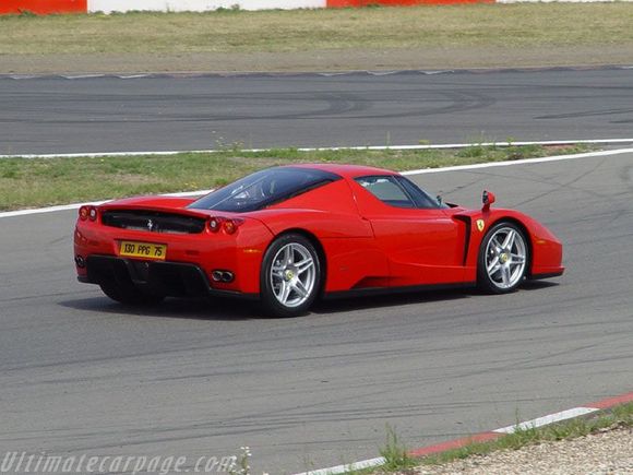 enzo2.jpg