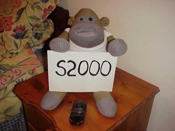 Nice Try But This is Monkey's True Feelings