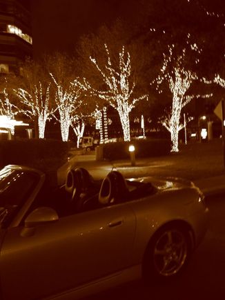 xmas11.jpg