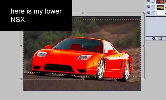 lowerd.jpg