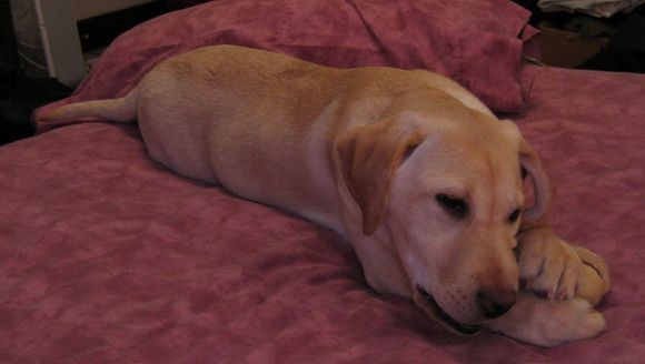 1maggie02-01.jpg