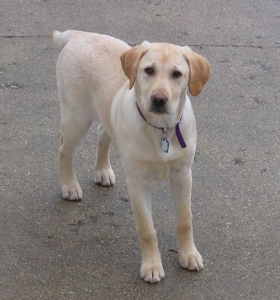 Maggie2-21.jpg