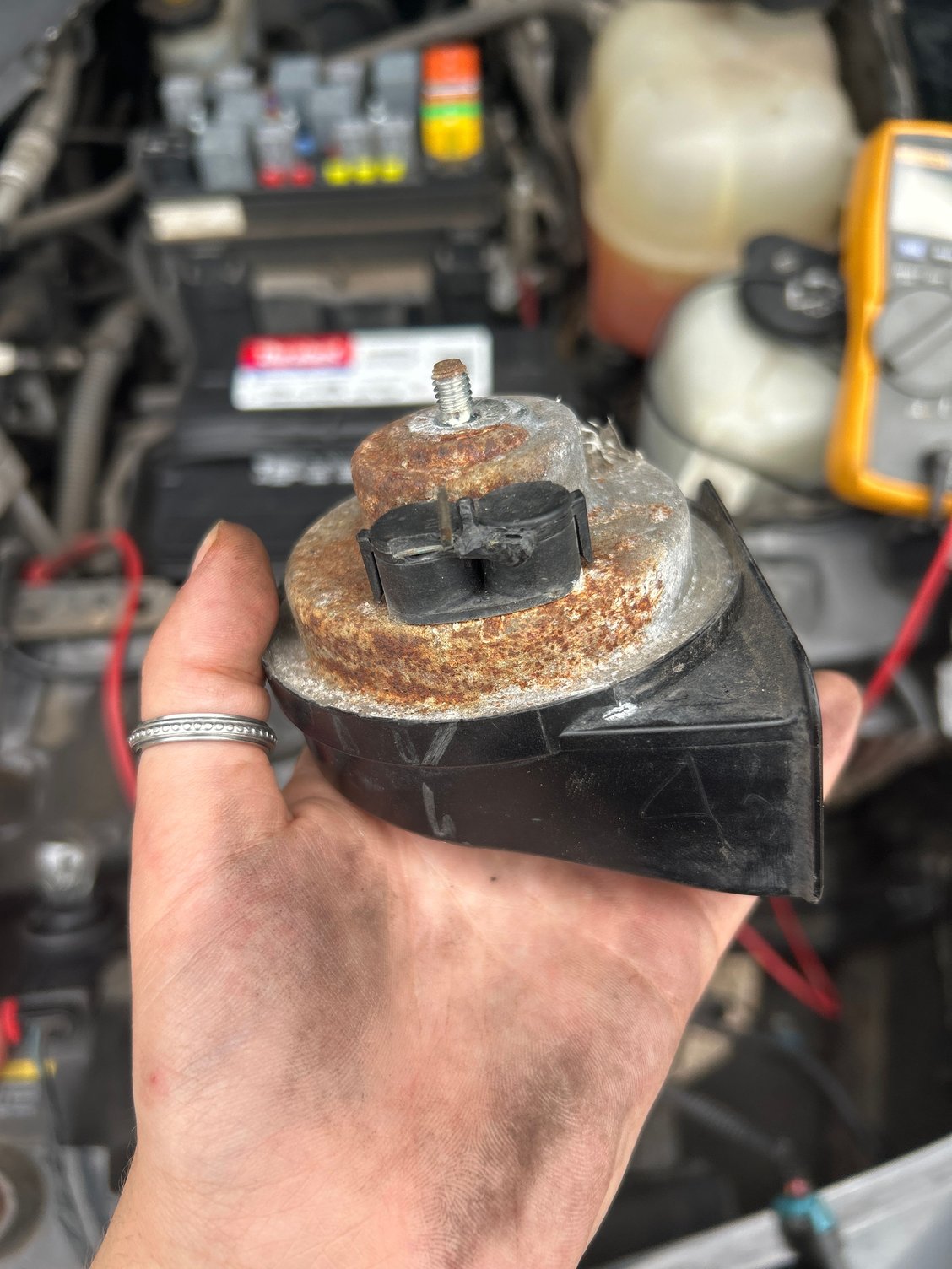 Horn , nothing was plugged in and I cannot find the correct connector in the car meant for the horn 