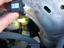 The pink in the middle. It's directly in the front as you can see and it's collecting in like a little area that allows it to collect I can't tell exactly where it's coming from My brother says maybe the water pump the hoses don't seem to be fucked up and I can't find any leaking out from any hoses so how fucked am I?  checked the oil it hasn't mixed. 

I got 173,000 on this sucker too