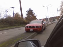 the mustang me and kanchi spotted in the median in seattle..........lol