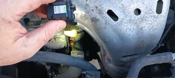 The pink in the middle. It's directly in the front as you can see and it's collecting in like a little area that allows it to collect I can't tell exactly where it's coming from My brother says maybe the water pump the hoses don't seem to be fucked up and I can't find any leaking out from any hoses so how fucked am I?  checked the oil it hasn't mixed. 

I got 173,000 on this sucker too