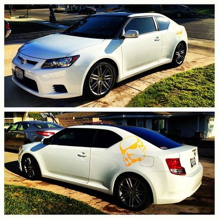Newly lowered and Freshly washed!!