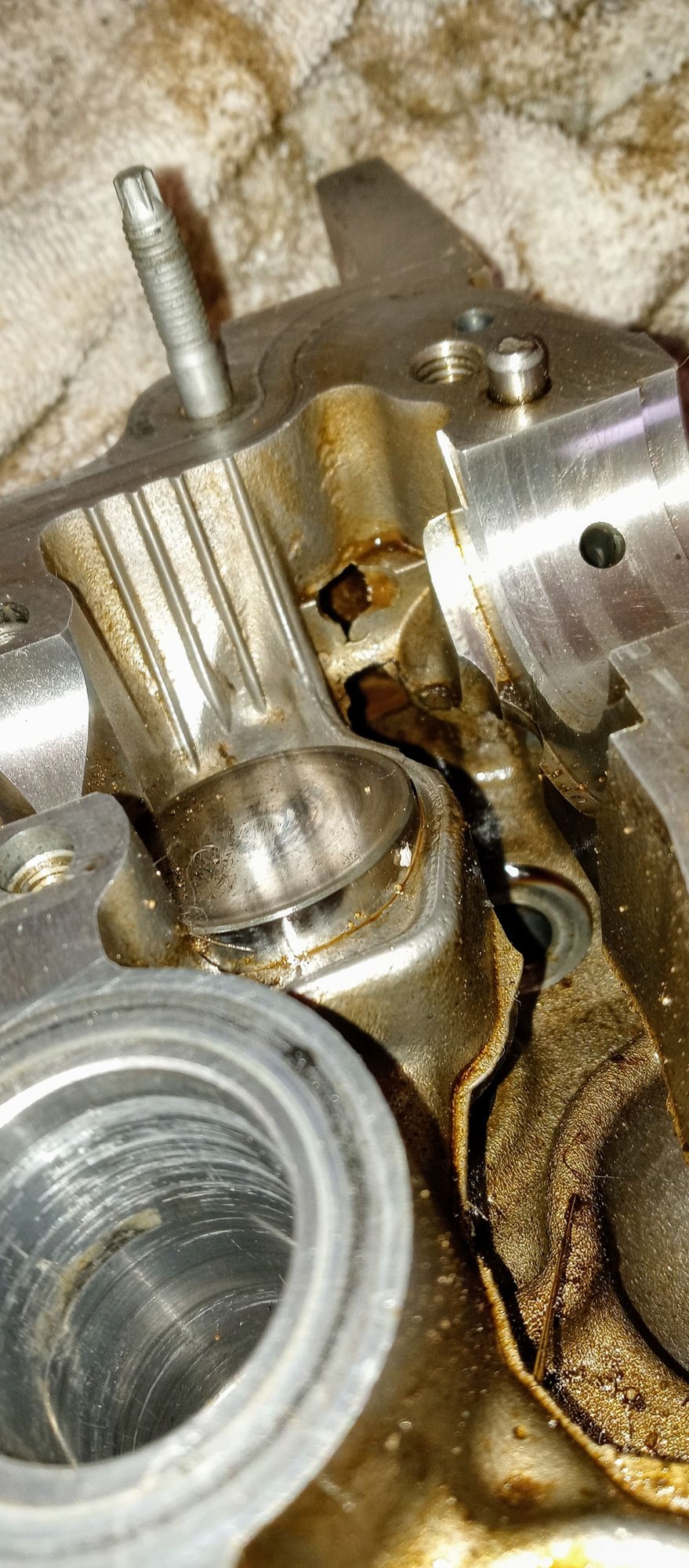 Scion xA Timing Chain..