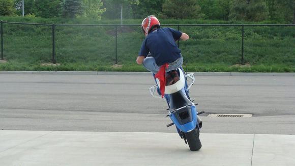 Wheelie Phat 441