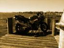 My Stock Hawk <3
