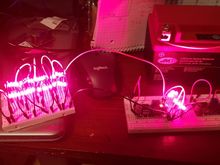The two circuits are the power supplies. One for rear-, one for brakelight