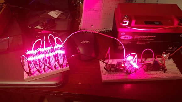 The two circuits are the power supplies. One for rear-, one for brakelight