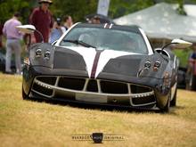 Huayra "The King". FB: Bearded Mug Media