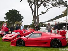 Ferrari Facebook Club (: Della scuderia novitec