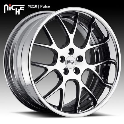 Niche pulse with logo