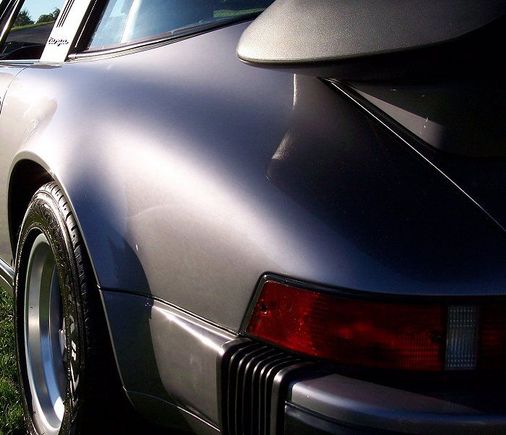 Sexy Curves