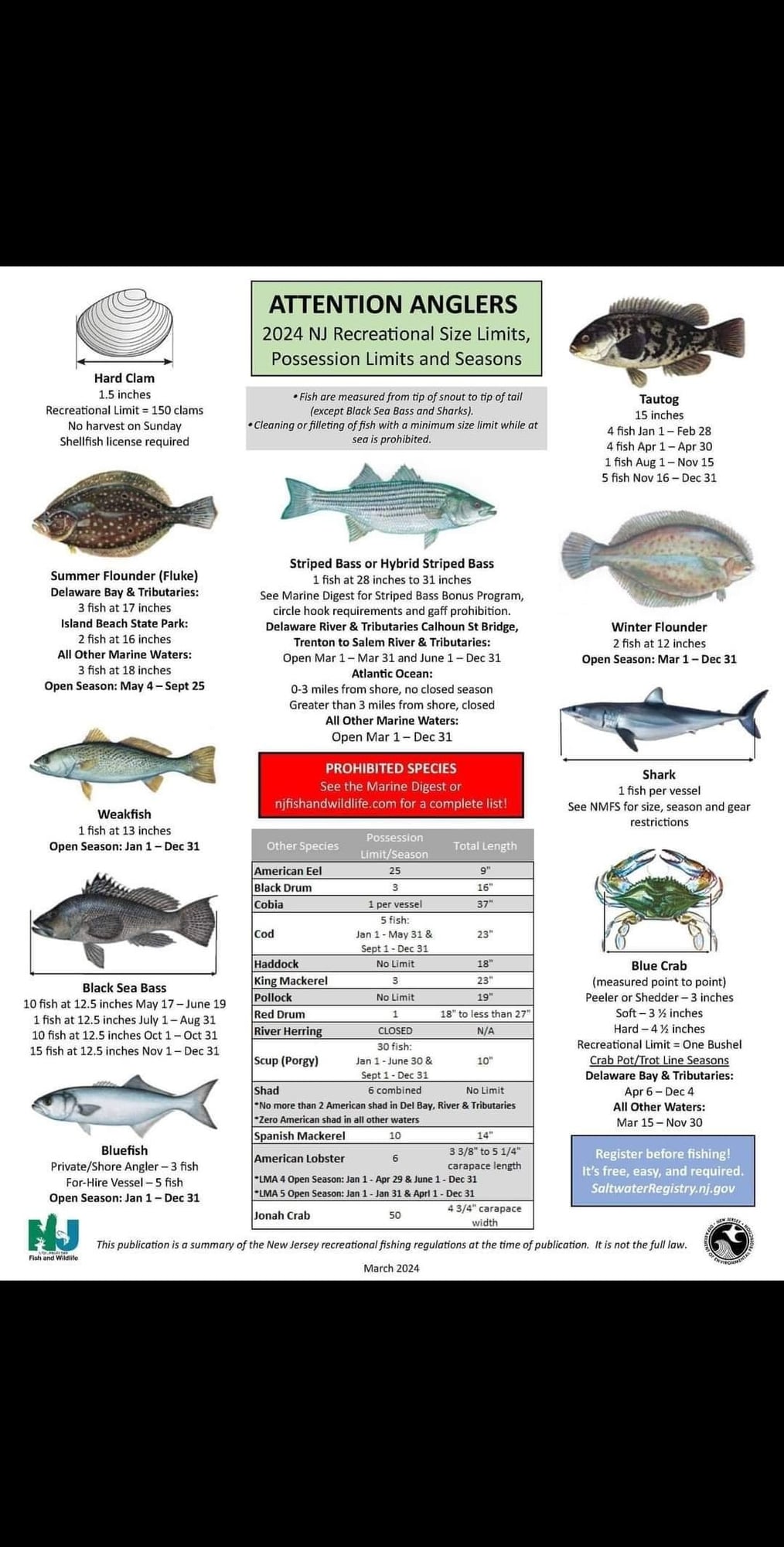2024 DELAWARE SALT WATER RULER 50 INCH FISH ID AND STATE REGULATIONS F –  Cajun Mapping