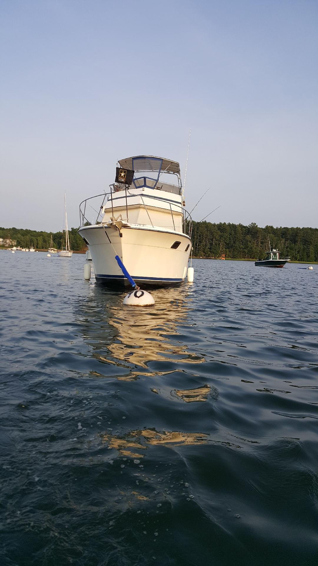 Craigslist carver 3227 very clean boat (Pictures added ...