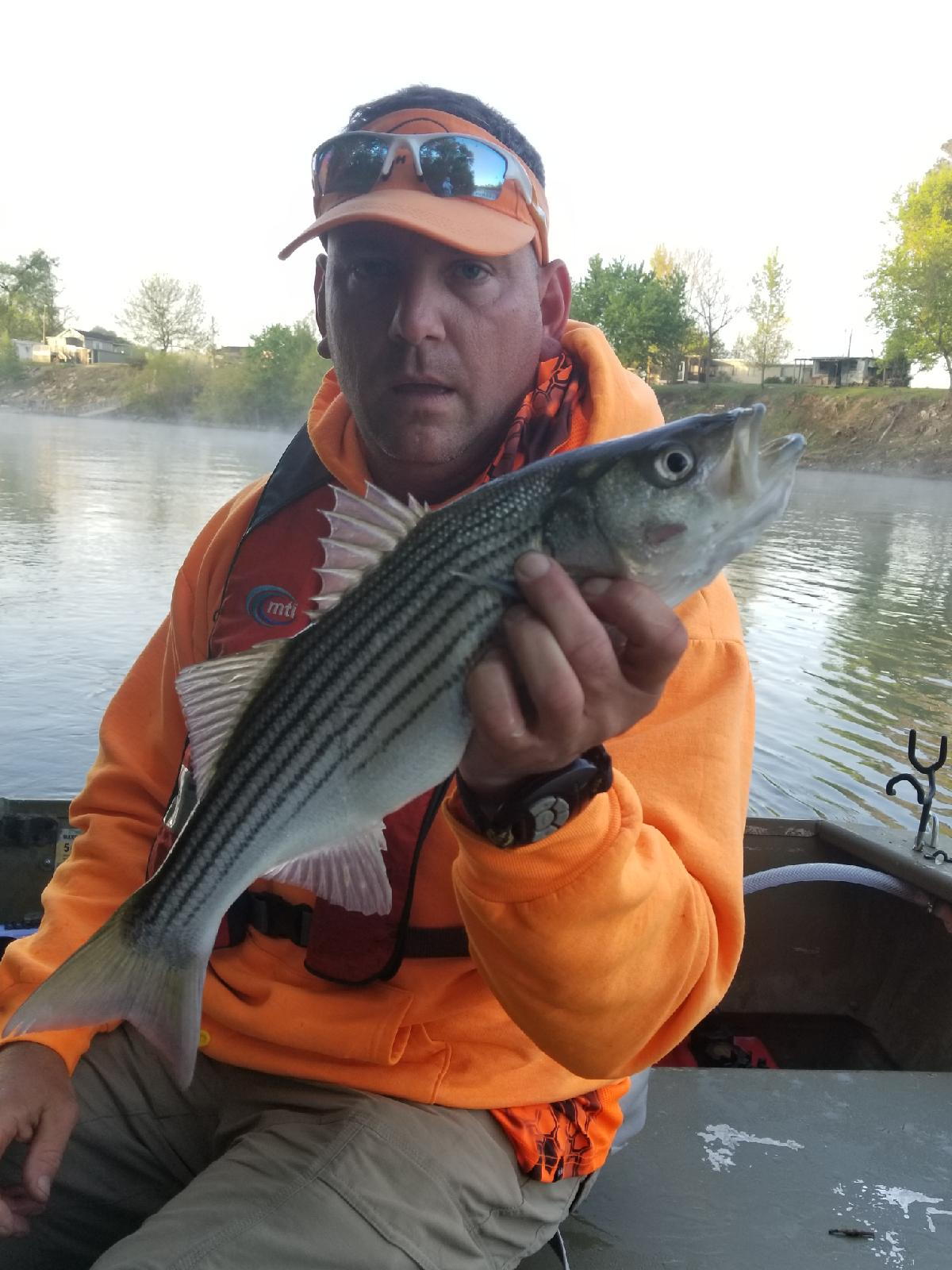 Striper Report 11/10/18 - Bass Fishing Forum 