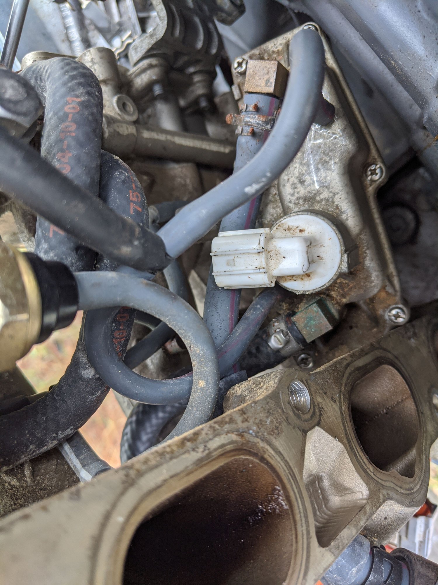 How to remove Yamaha VST filter The Hull Truth Boating and Fishing