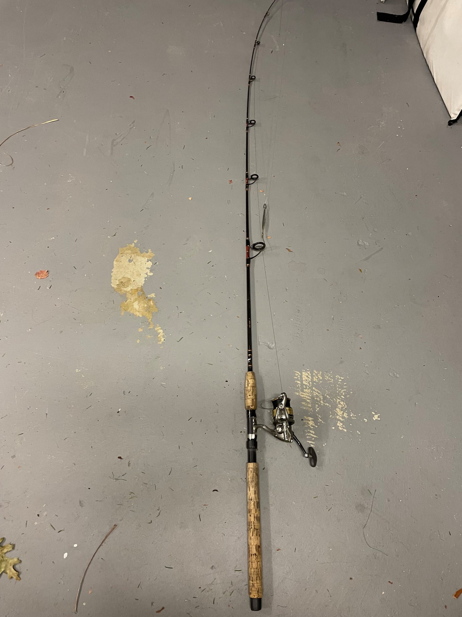 Shimano Sustain 4000 on Fenwick Spinning Rod - The Hull Truth - Boating and  Fishing Forum