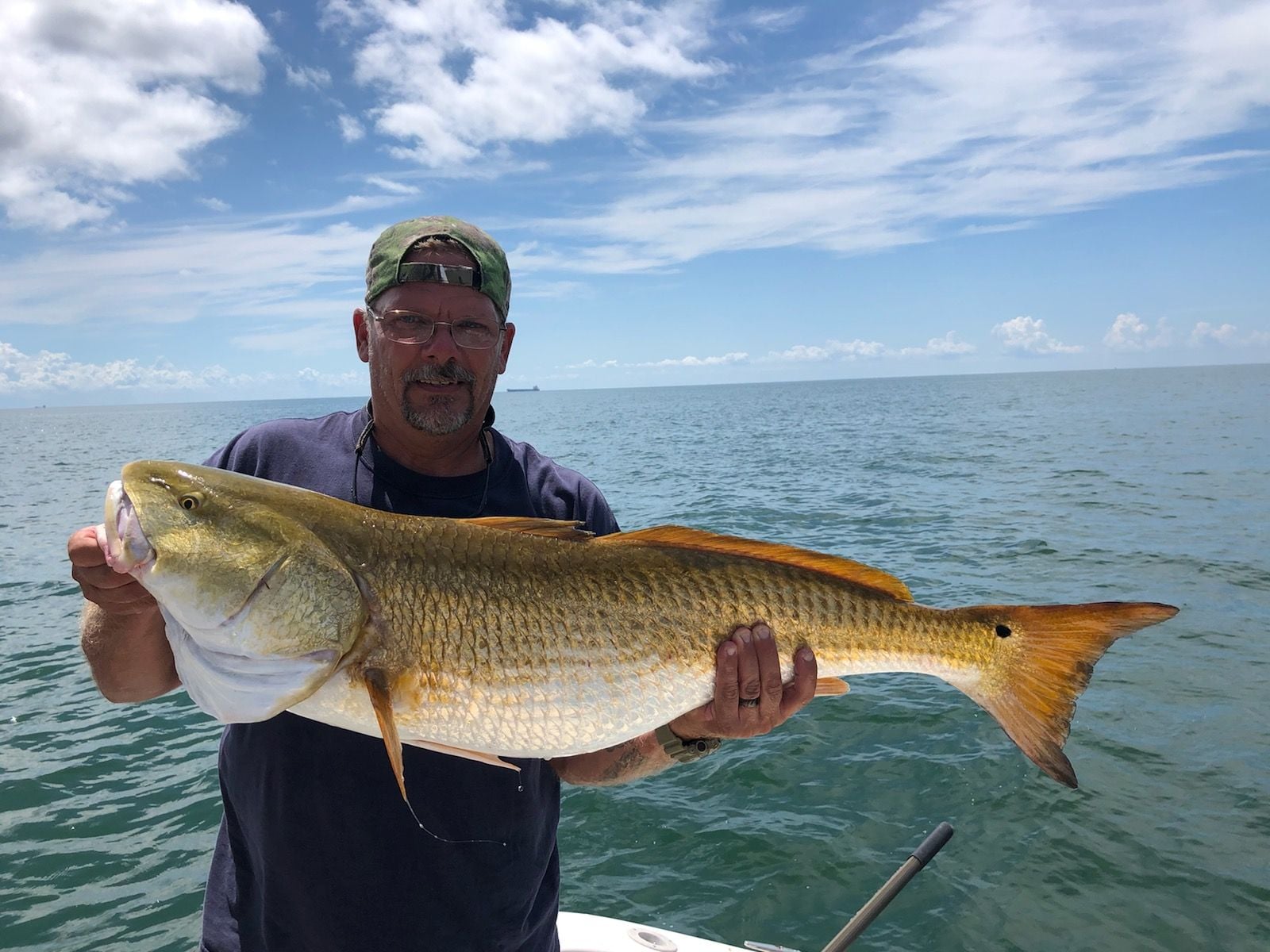 Red Drum Chesapeake Bay - The Hull Truth - Boating and Fishing Forum