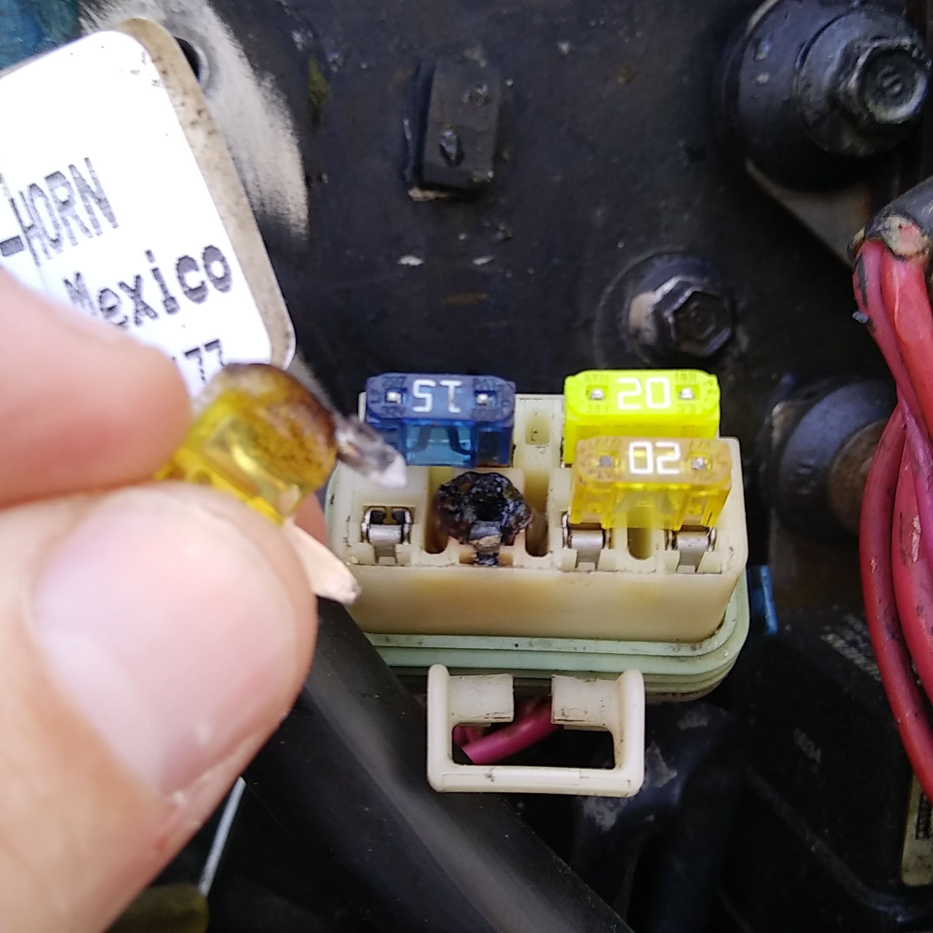 Melted fuse on opti The Hull Truth Boating and Fishing Forum