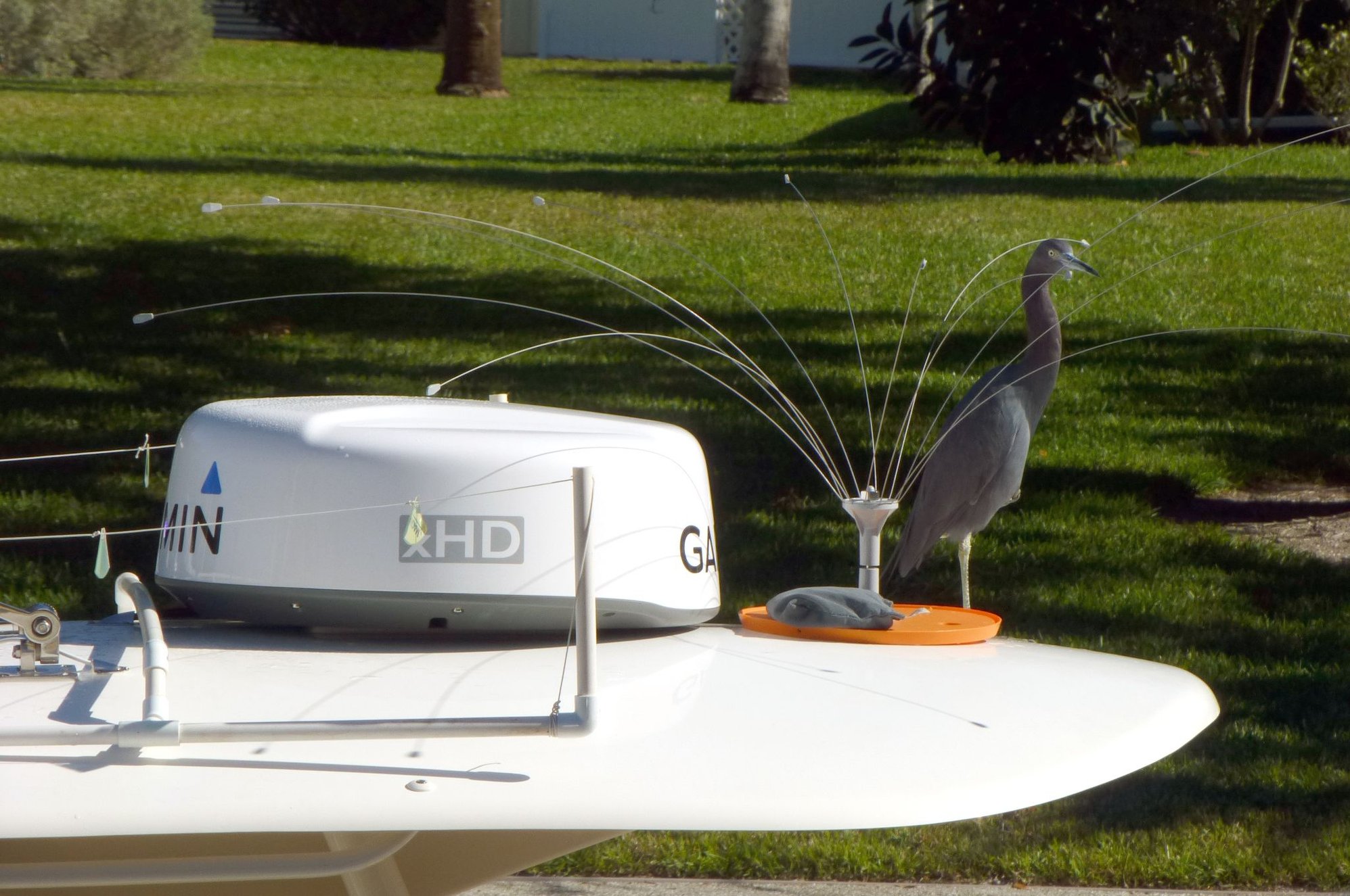 What is the Best Bird Deterrent? Page 2 The Hull Truth Boating