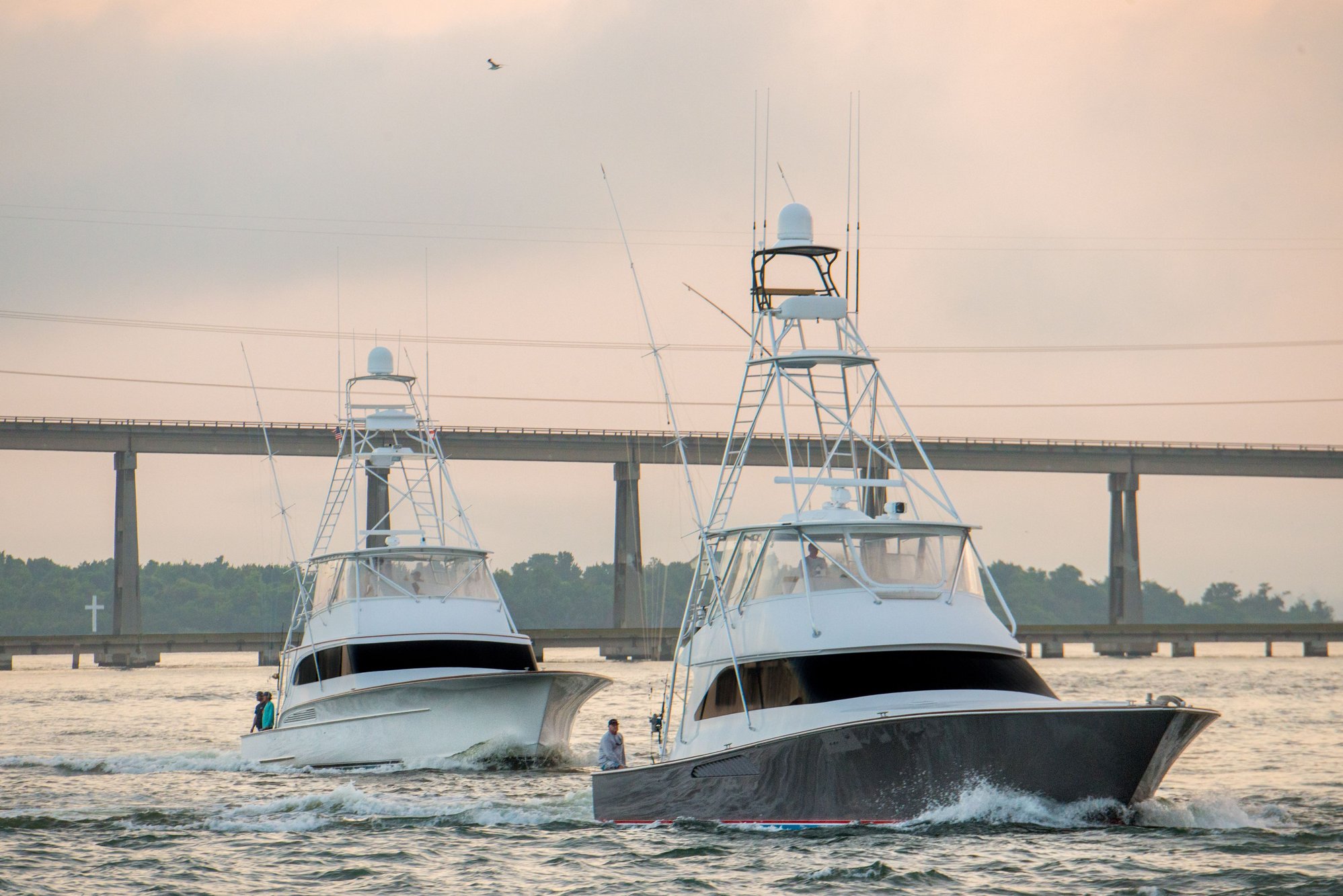 2018 Big Rock Tournament - Page 9 - The Hull Truth - Boating and