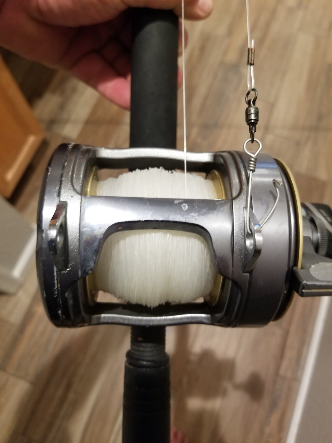 Shimano Tyrnos 30 2 speed reels - The Hull Truth - Boating and