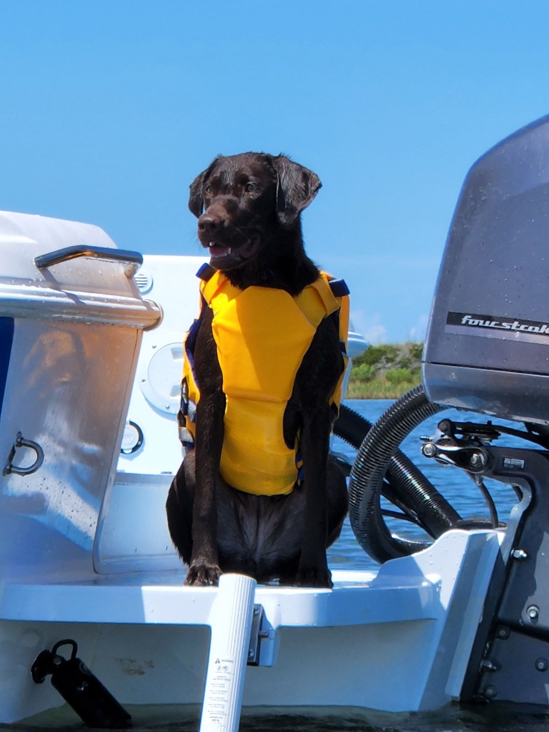 Outboard Brackets Pros and Cons? Page 3 The Hull Truth Boating